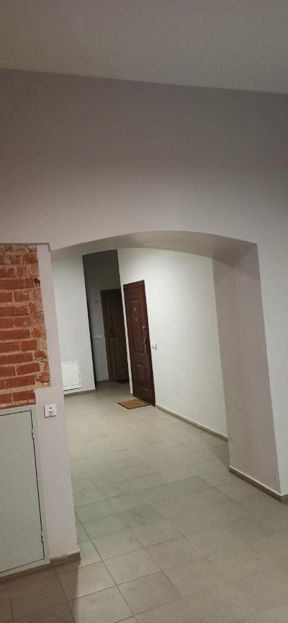 Studio Flat In A Historical XIX C. Building. Kaunas Eksteriør billede